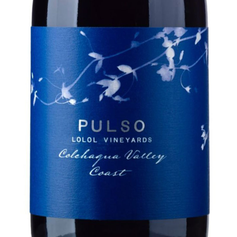 PULSO 2014 - Imagen 2