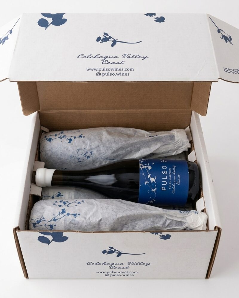 Pack 6 Pulso Malbec