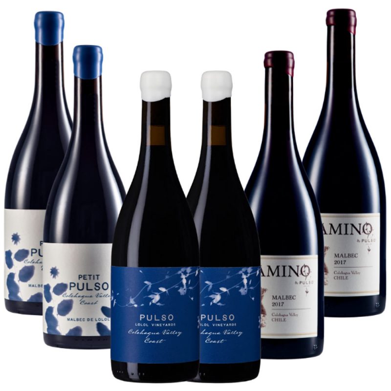 Caja Mix 4 (6 botellas)