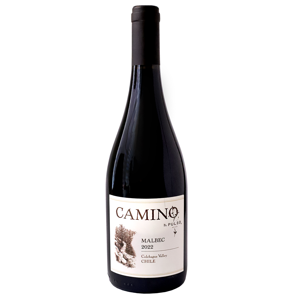 CAMINO Malbec 2022