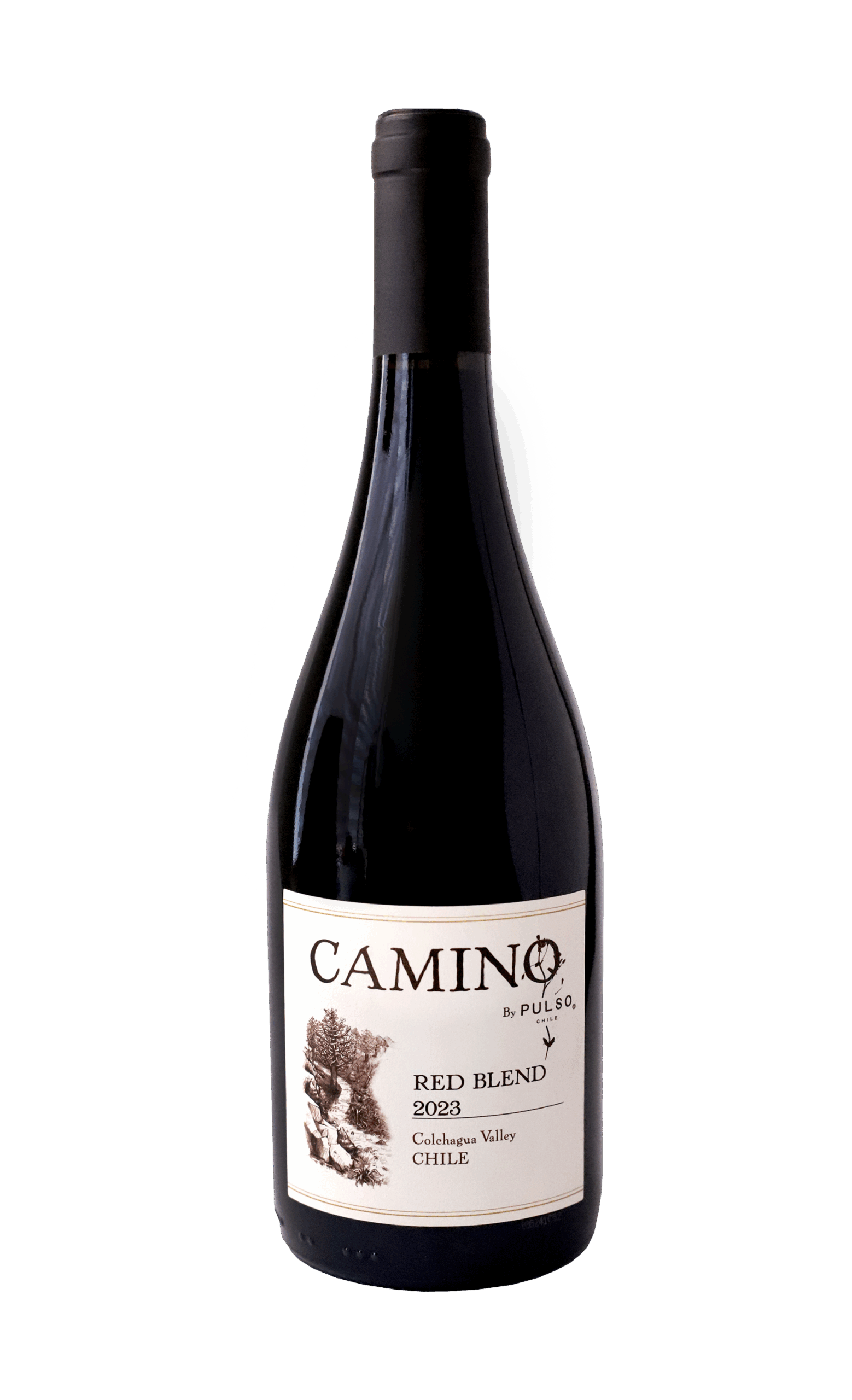 CAMINO Red Blend 2023