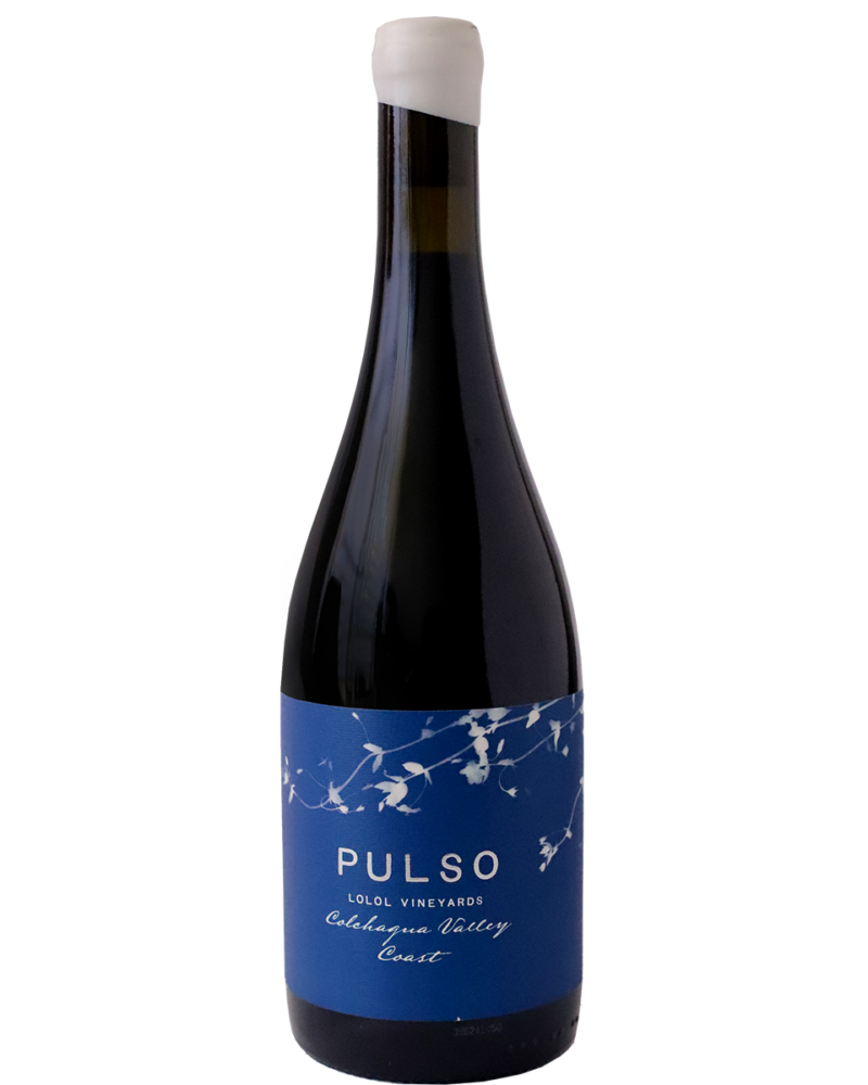 PULSO MALBEC 2023