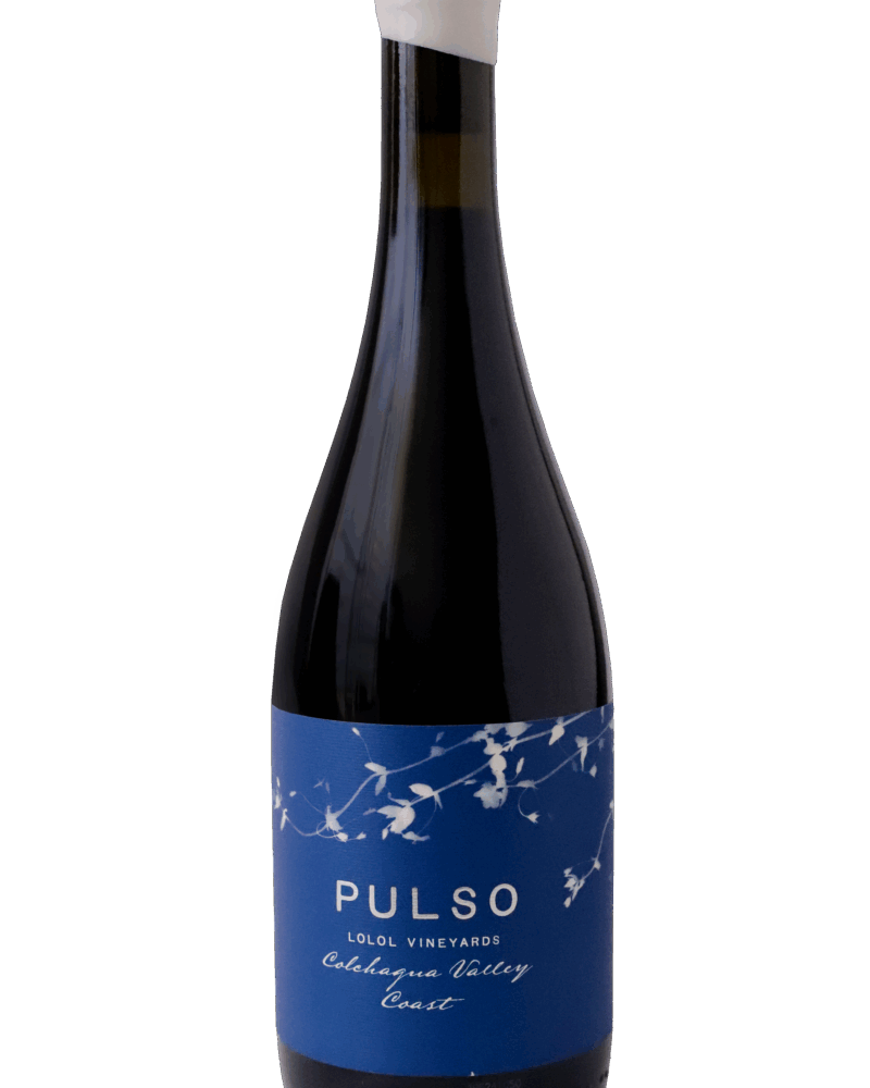 PULSO MALBEC 2023