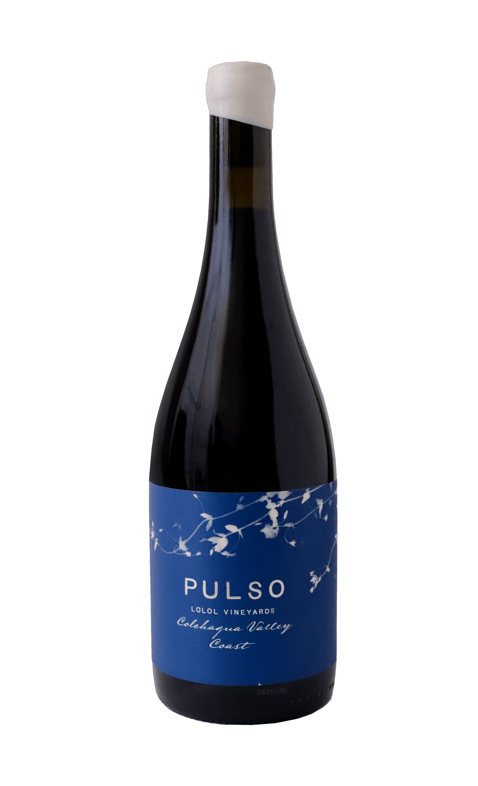 PULSO MALBEC 2023