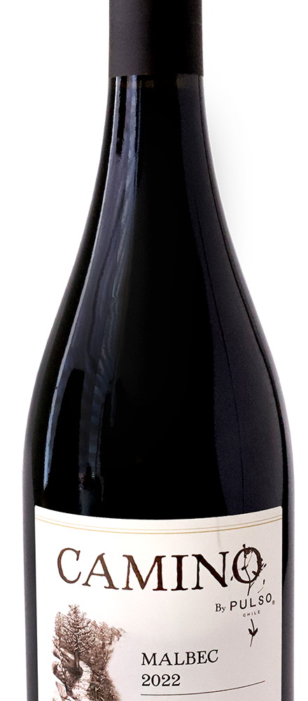 CAMINO Malbec 2022