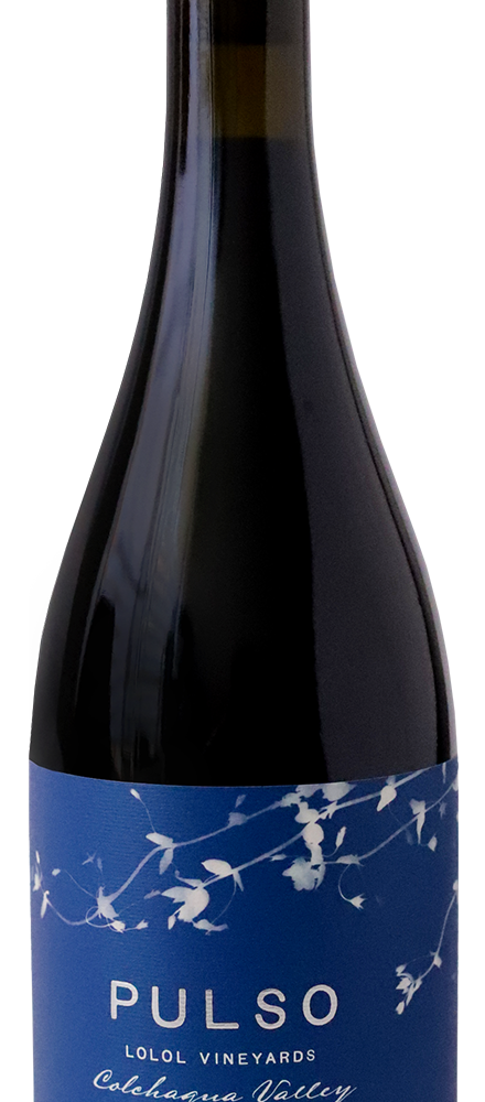 PULSO MALBEC 2023